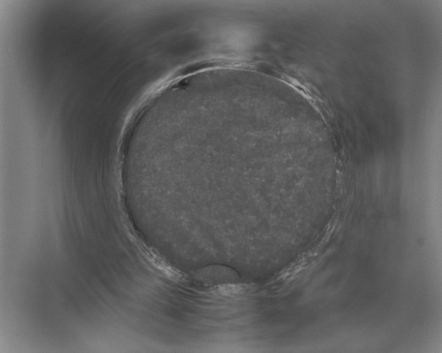 X0000072530149200608111755