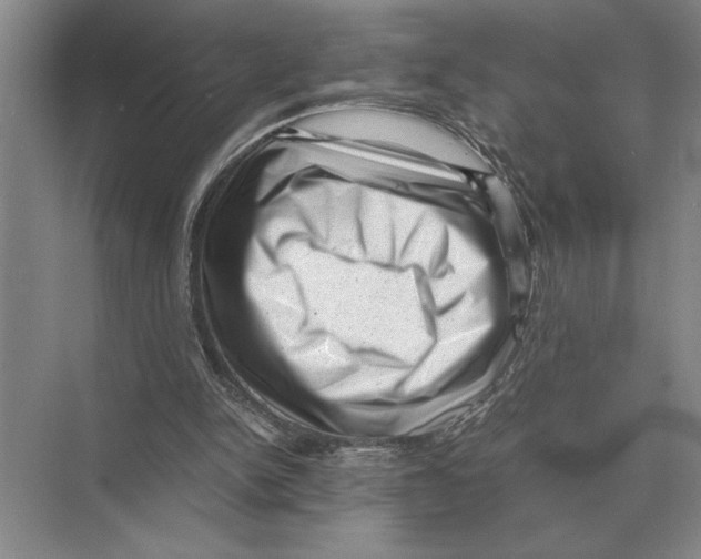 X0000072530150200608111755