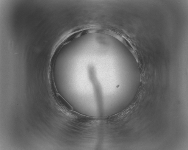 X0000072530152200608111755