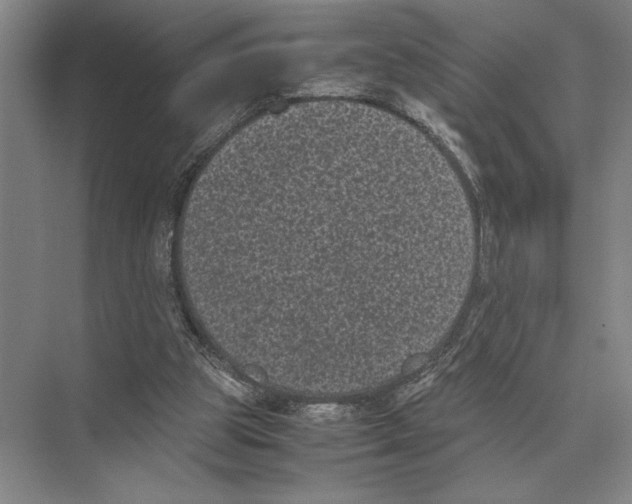 X0000072530153200608111755