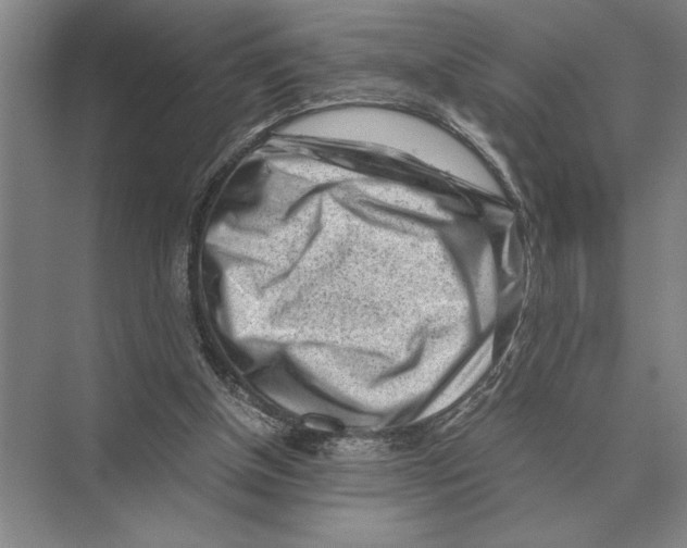 X0000072530154200608111755