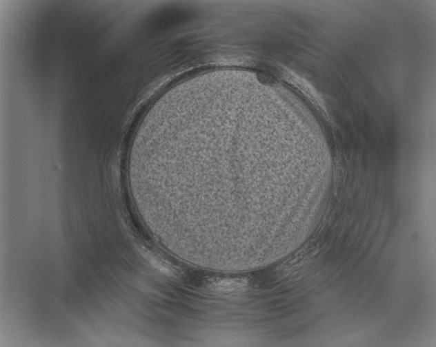 X0000072530155200608111755