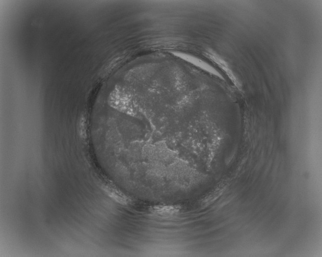 X0000072530161200608111755