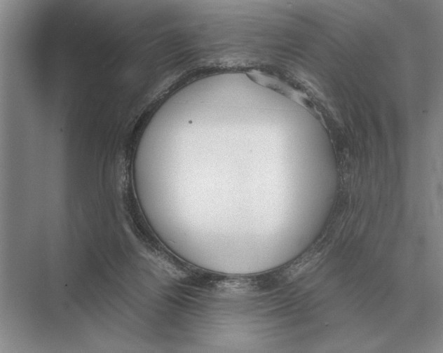 X0000072530164200608111755