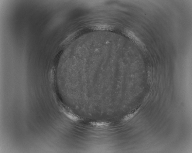 X0000072530165200608111755