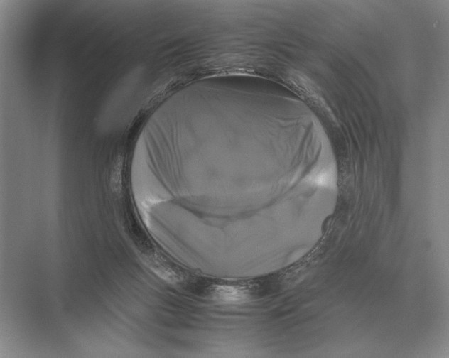 X0000072530167200608111755