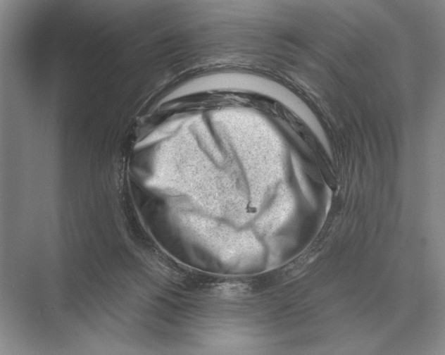 X0000072530168200608111755