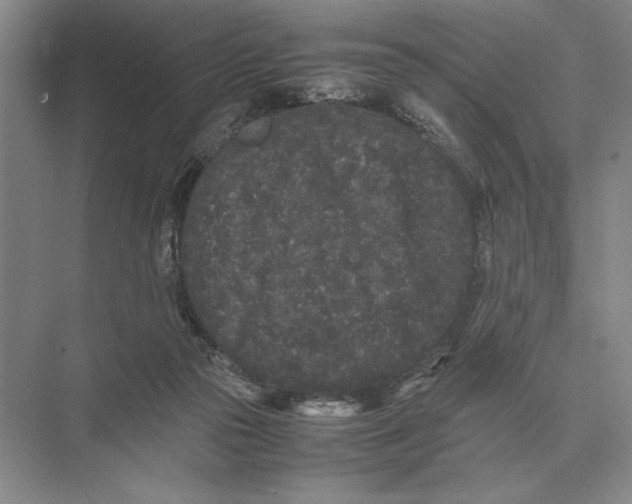 X0000072530169200608111755