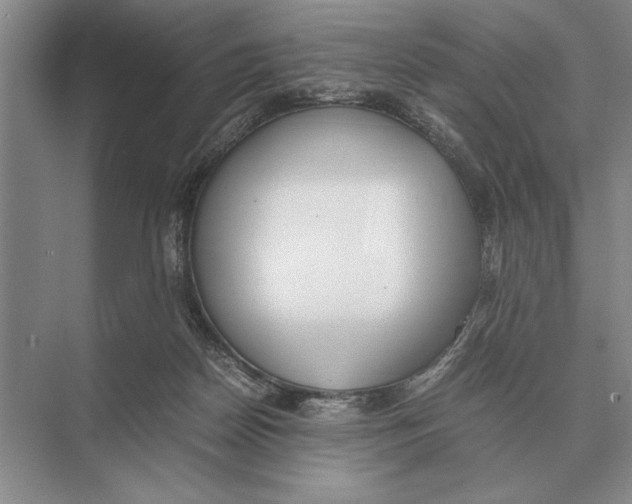 X0000072530170200608111755