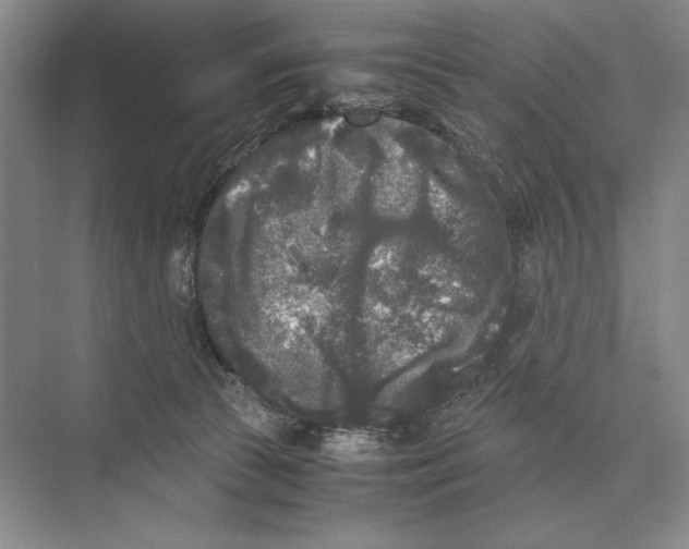 X0000072530177200608111755