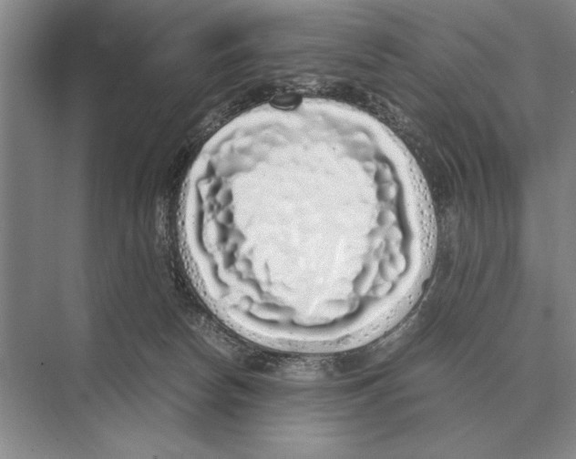 X0000072530178200608111755