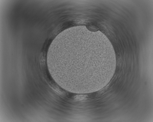 X0000072530179200608111755