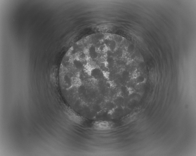 X0000072530181200608111756