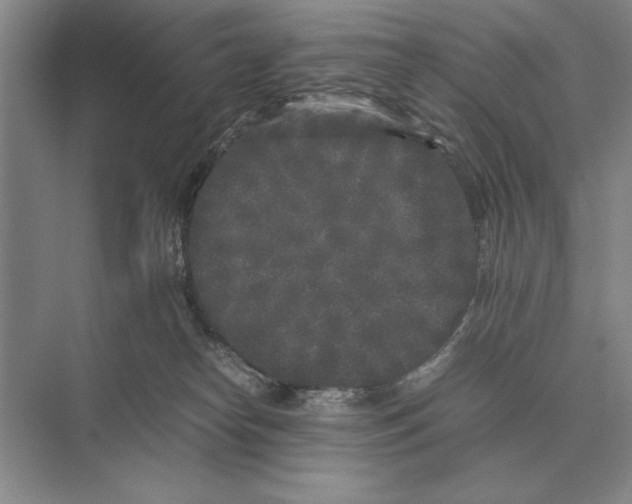 X0000072530182200608111756