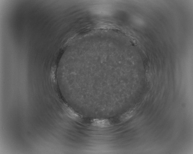 X0000072530185200608111756