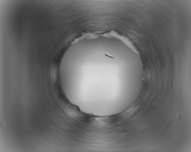 X0000072530188200608111756