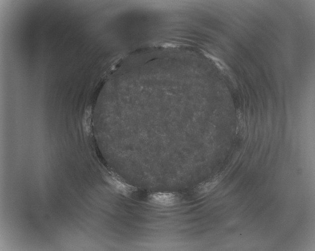 X0000072530189200608111756