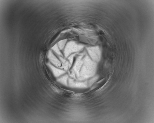 X0000072530192200608111756