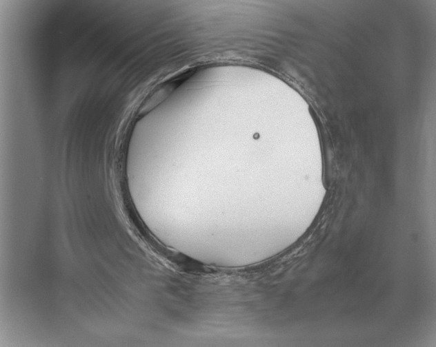 X0000072530193200608111755