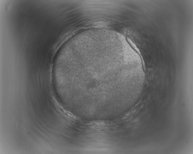 X0000072530194200608111755