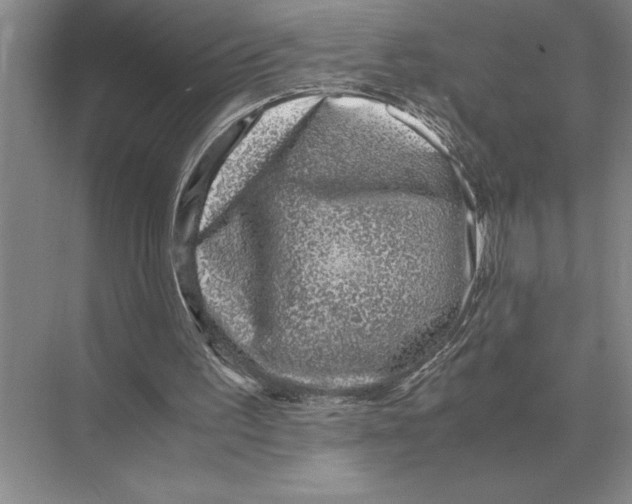 X0000072530195200608111755