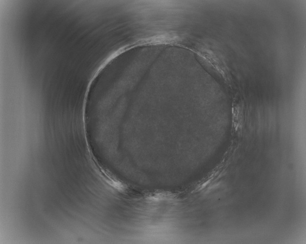 X0000072530196200608111755