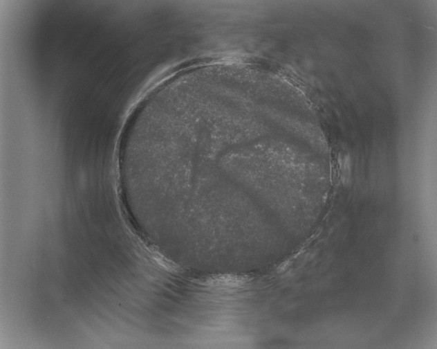 X0000072530198200608111755