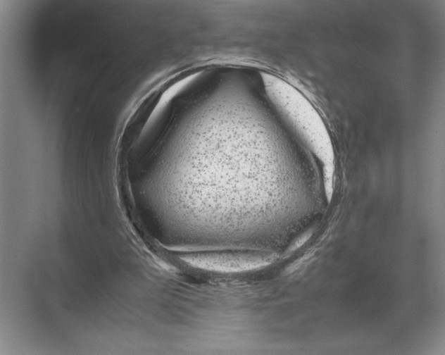 X0000072530199200608111755