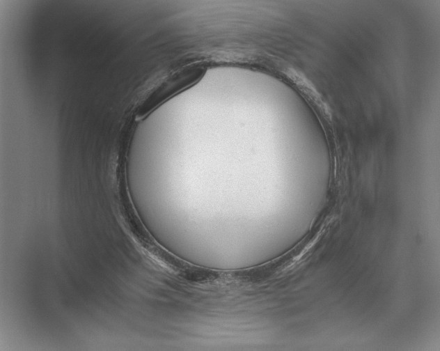 X0000072530201200608111755