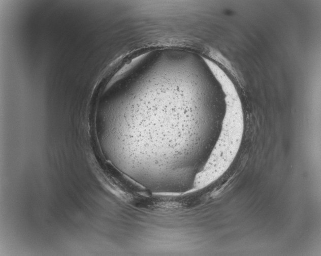 X0000072530203200608111755