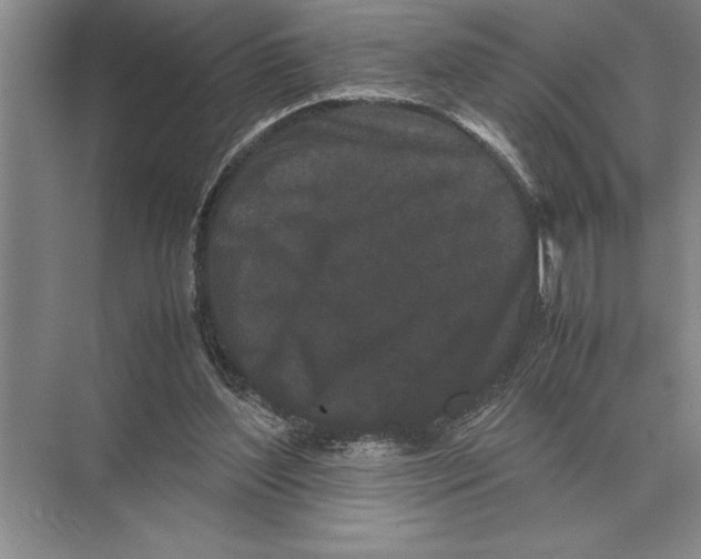 X0000072530204200608111755