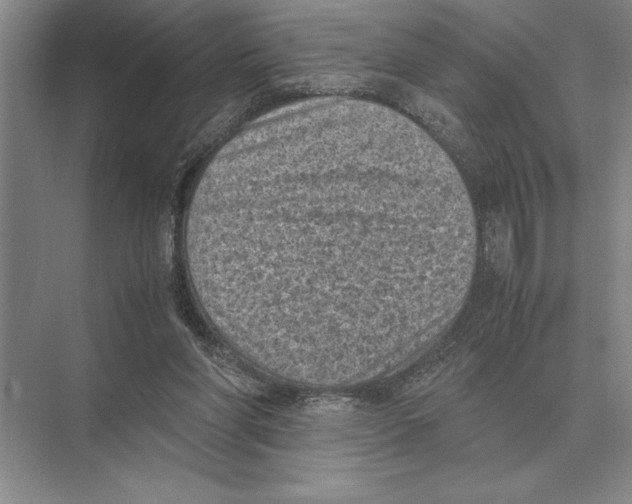 X0000072530206200608111755