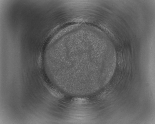 X0000072530208200608111755