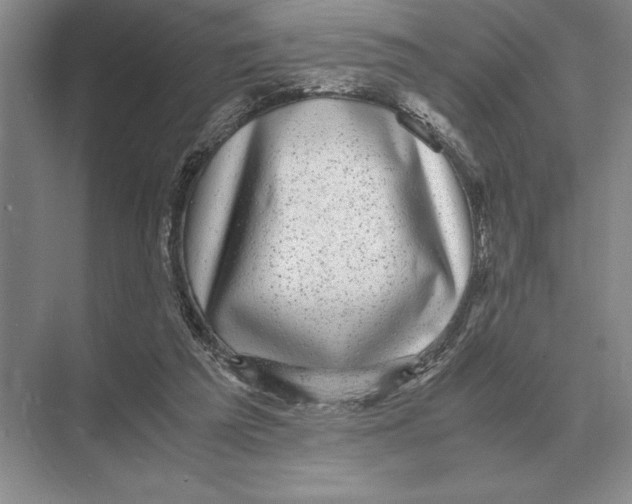 X0000072530209200608111755