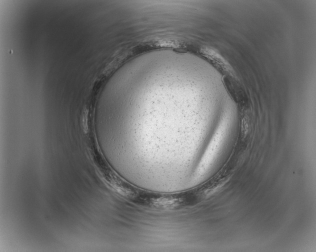 X0000072530213200608111755