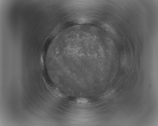 X0000072530214200608111755