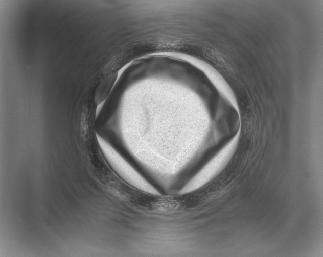 X0000072530215200608111755