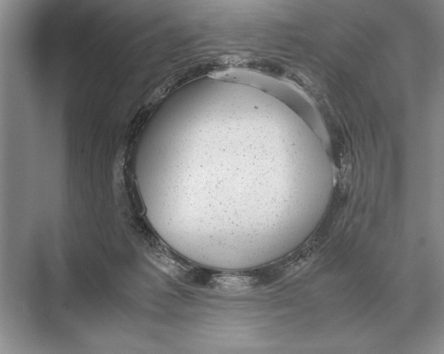 X0000072530221200608111754