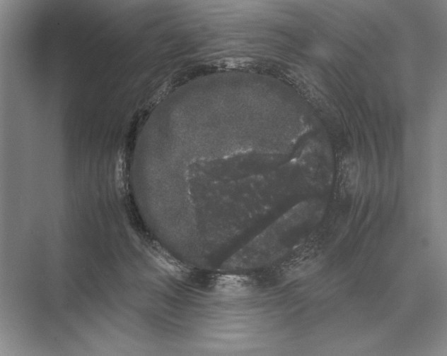 X0000072530222200608111754