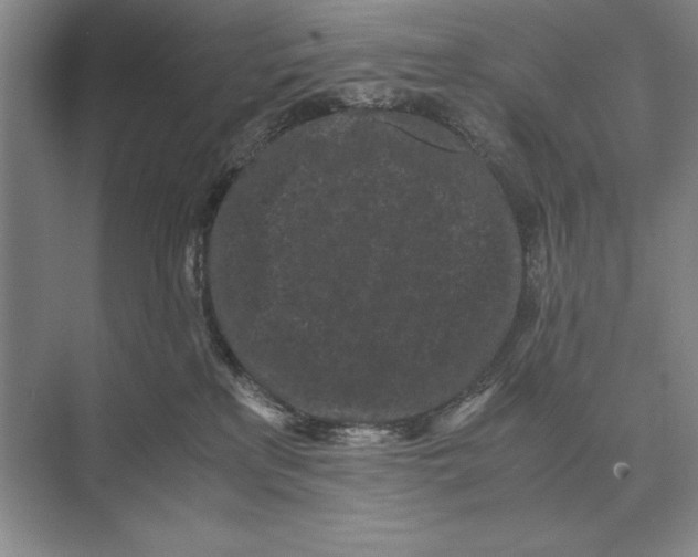 X0000072530233200608111754