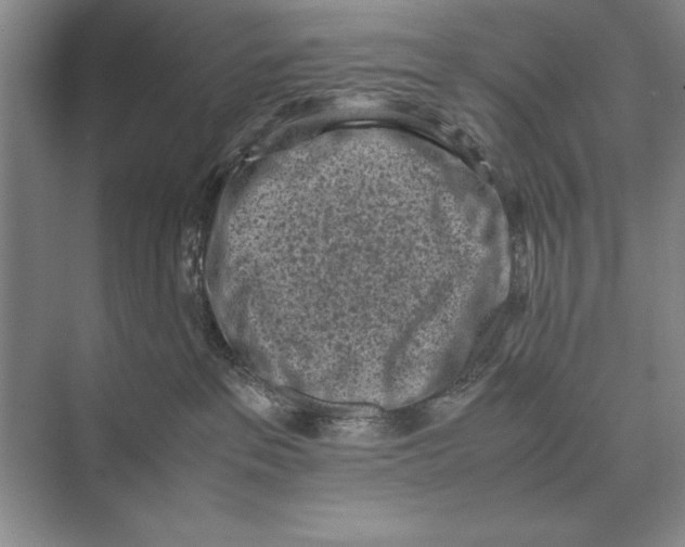 X0000072530237200608111754