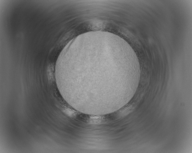 X0000072530240200608111754