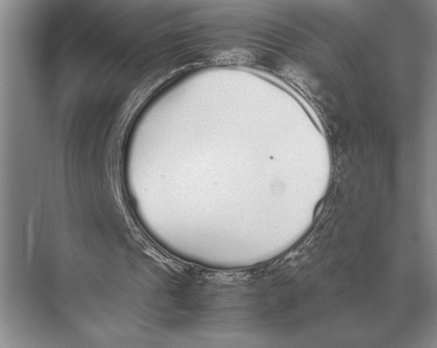 X0000072530241200608111753