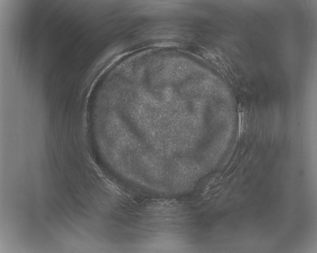 X0000072530243200608111753