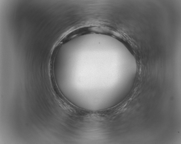 X0000072530244200608111753