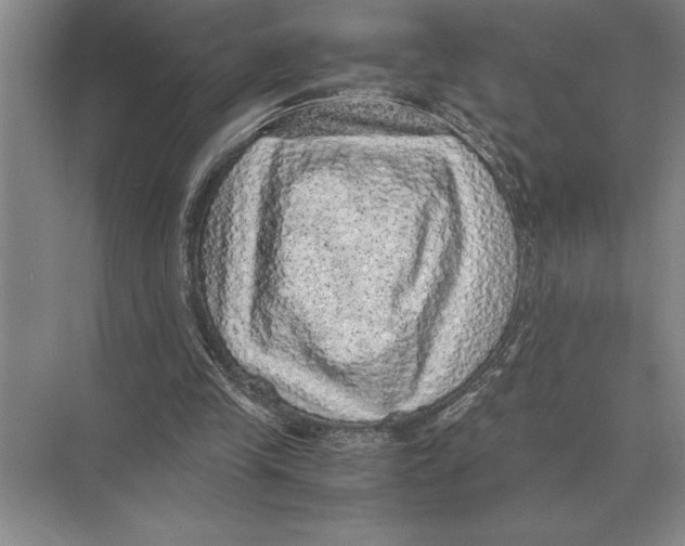 X0000072530245200608111753