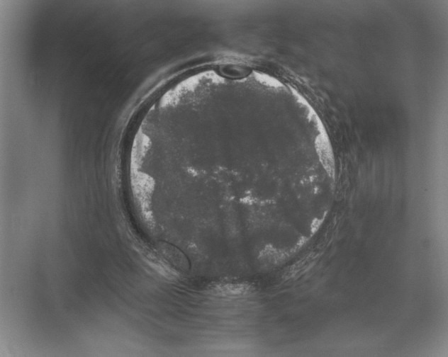 X0000072530247200608111753