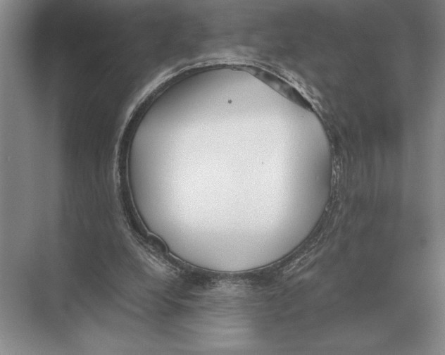 X0000072530248200608111753