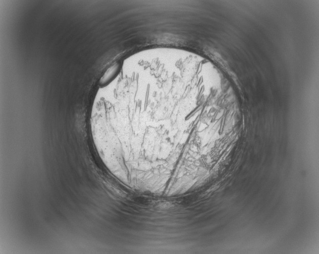 X0000072530249200608111753