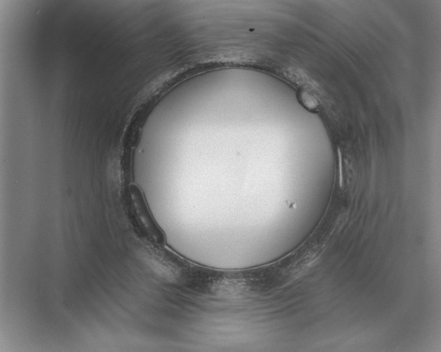 X0000072530252200608111753